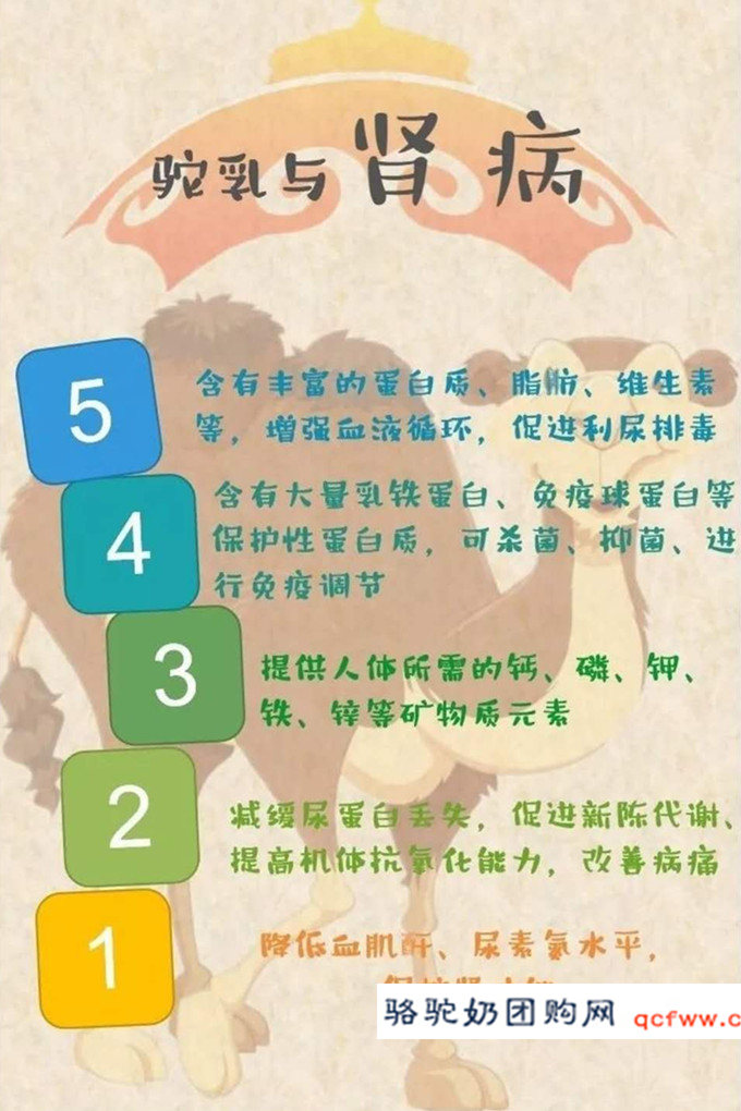 骆驼乳功能介绍