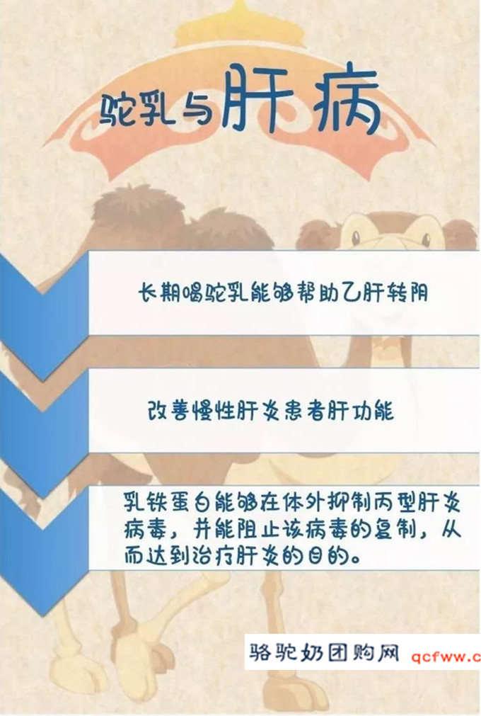 骆驼乳功能介绍