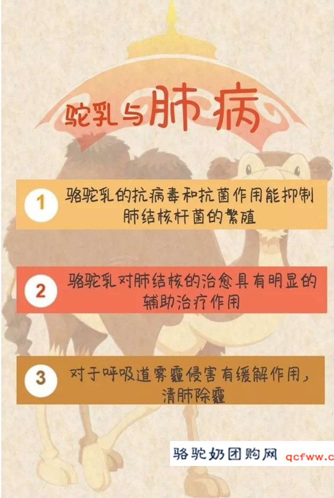 骆驼乳功能介绍