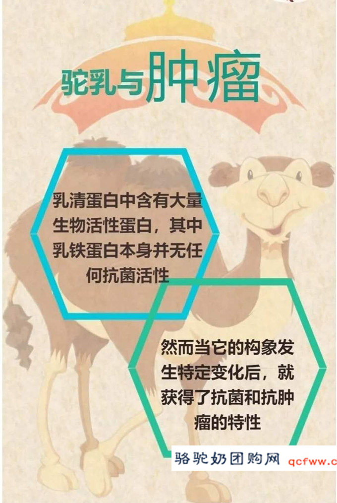 骆驼乳功能介绍