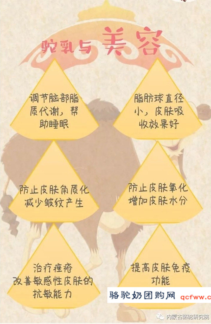 骆驼乳功能介绍