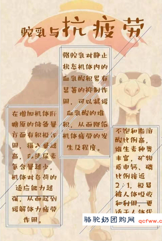骆驼乳功能介绍