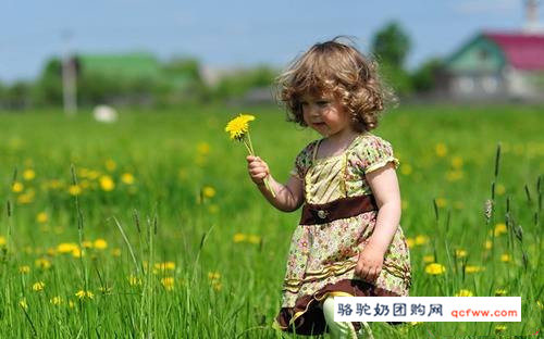 中医徐文兵老师讲解《皇帝内经》五藏中