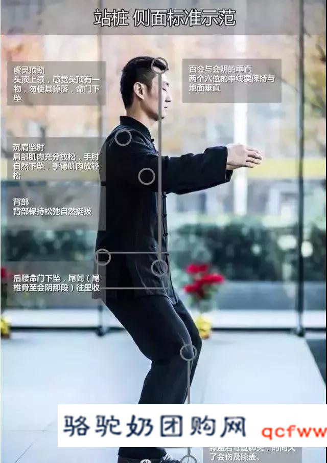 这样站桩,很快恢复你的元气!