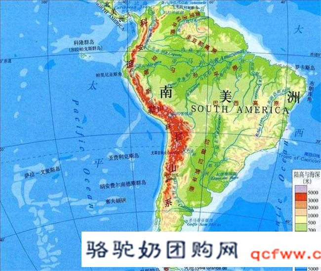双峰驼与双峰驼乳知识分享(二)