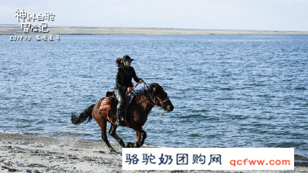 公益电影《神秘白驼冒险记》在新疆阿勒泰的福海县热拍