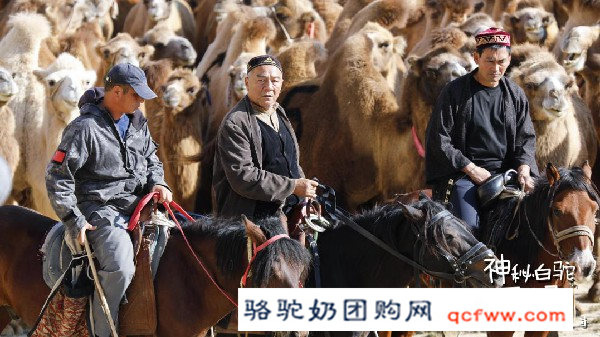 公益电影《神秘白驼冒险记》在新疆阿勒泰的福海县热拍