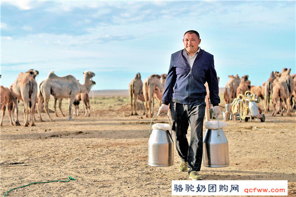人民日报网：新疆阿勒泰福海县牧民：“骑”上骆驼奔小康