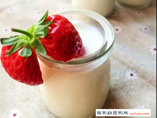 含有活性益生菌的酸奶和癌的关系....后悔没早点知道