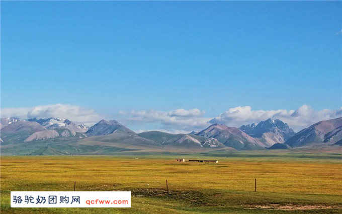 去新疆的旅游,路才是最震撼人心的风景!