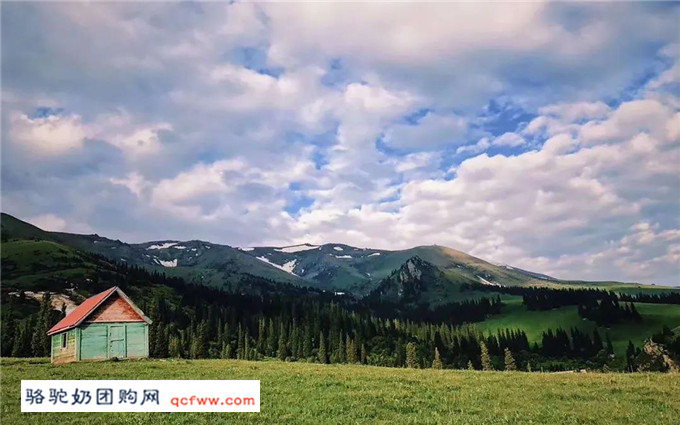去新疆的旅游,路才是最震撼人心的风景!