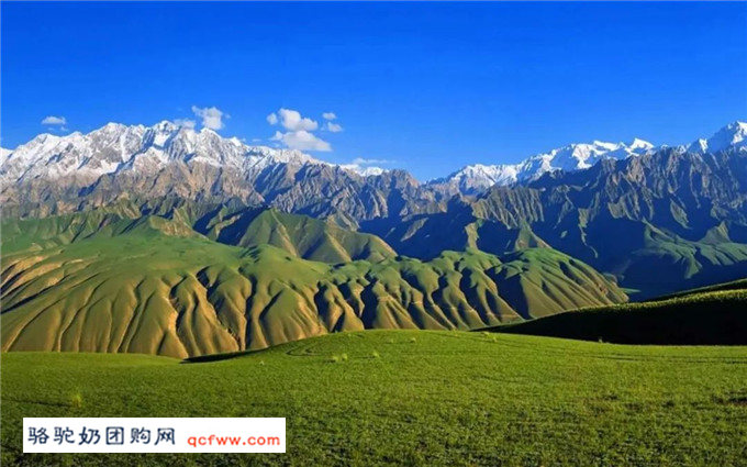 去新疆的旅游,路才是最震撼人心的风景!
