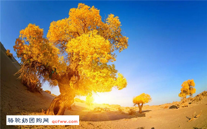 去新疆的旅游,路才是最震撼人心的风景!