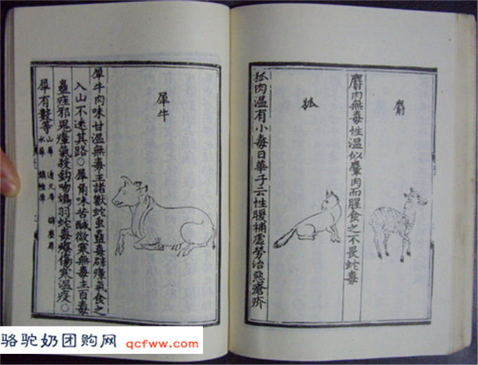 [问答]最早记载骆驼奶功效的古籍是什么？