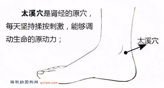 太溪穴,让您“体内的冰雪”化成“洪荒之力”的穴位