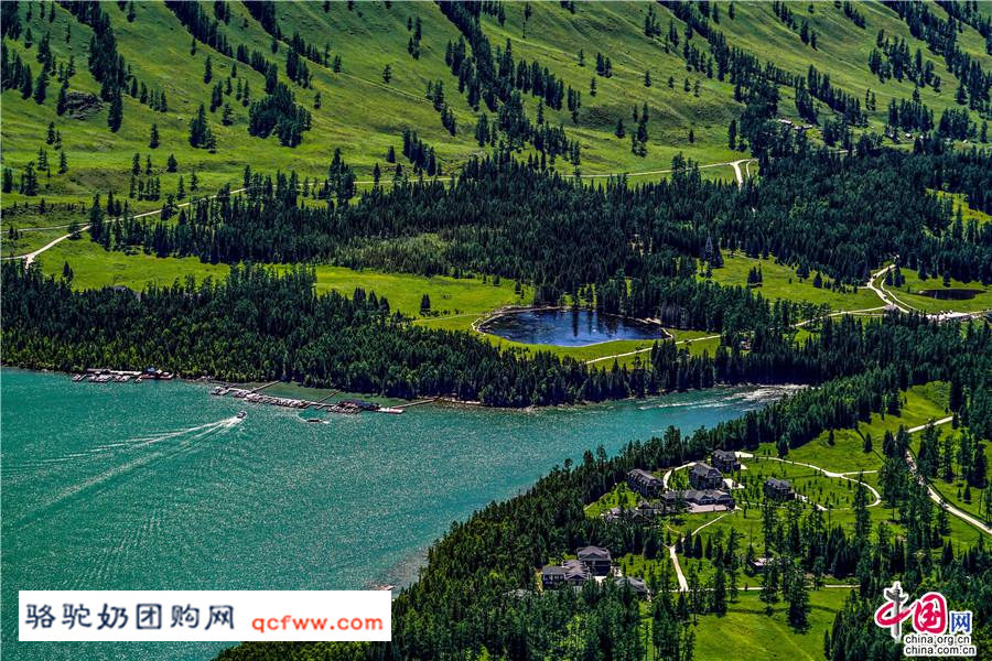 新疆阿勒泰的喀纳斯,神的后花园 春天留在了夏季里