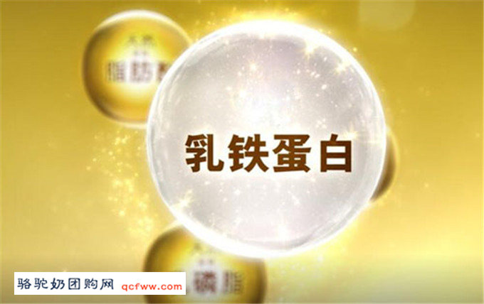 什么是乳铁蛋白,乳铁蛋白对人体有什么特殊的作用