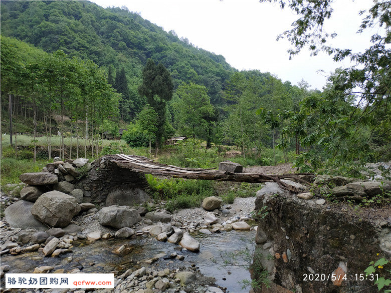探游四川绵阳“深山故宫”--平武报恩寺