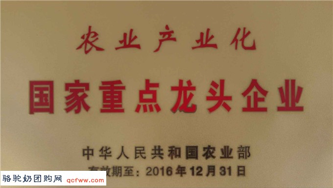 喝骆驼奶,选旺源的八大理由