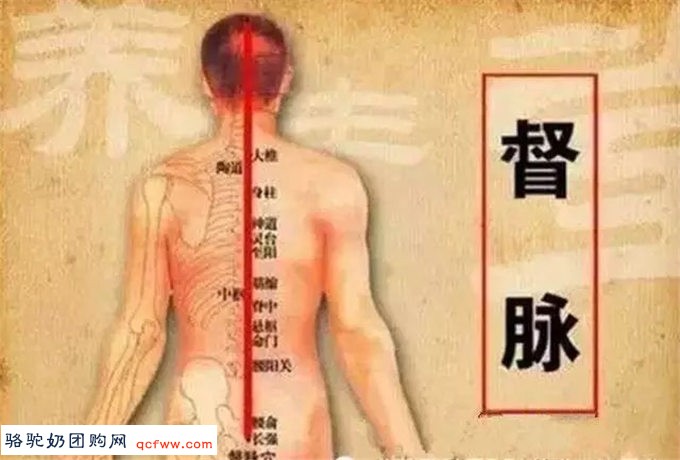 人体14条经络的神奇之处:一通百通,一堵百堵!