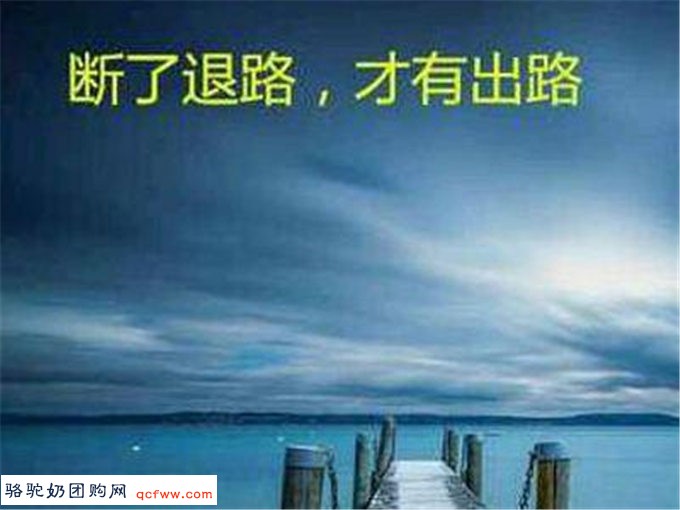 示弱,不仅是一种智慧,更是一种勇气
