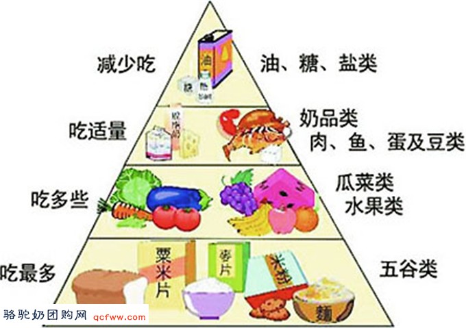 饮食习惯对肠道菌群的深远影响