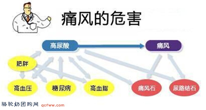 痛风怎么治疗 痛风吃这些比较好