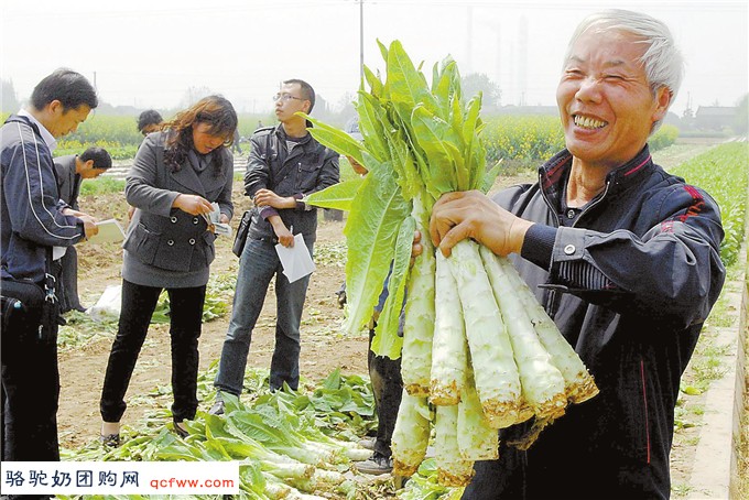患了痛风以后哪些食物不能吃