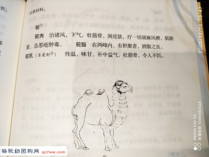 为什么哈萨克族人群糖尿病患病率低?