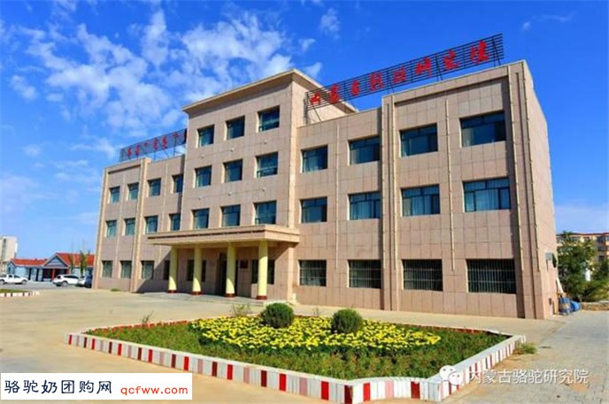肾功能不全者能不能喝骆驼奶,有什么依据?