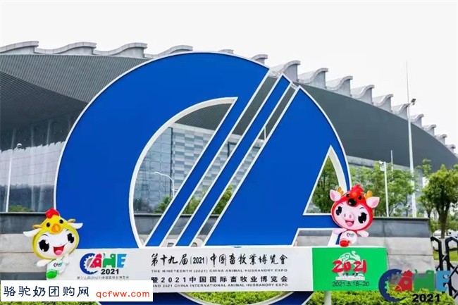旺源集团深耕骆驼产业发展,第十九届中国畜牧业展会备受关注