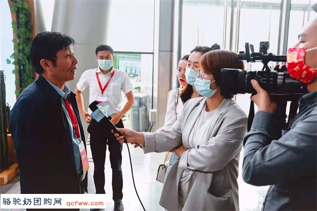 旺源集团深耕骆驼产业发展,第十九届中国畜牧业展会备受关注