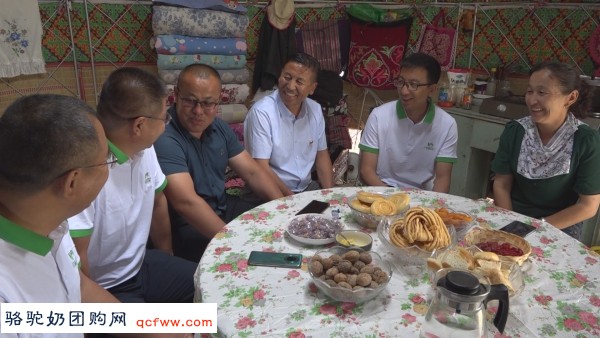 新疆融媒体:奋斗百年路 启航新征程,援疆人才助力福海县产业发展