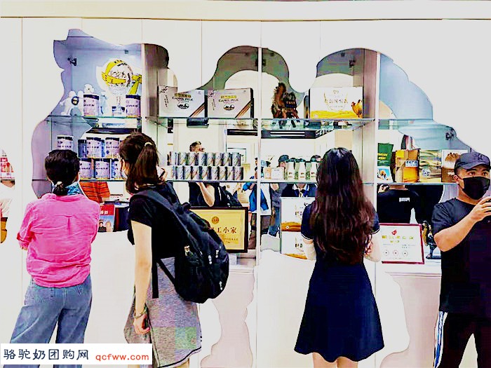 山东51台报道：陈钢粮：中国驼奶界的传奇