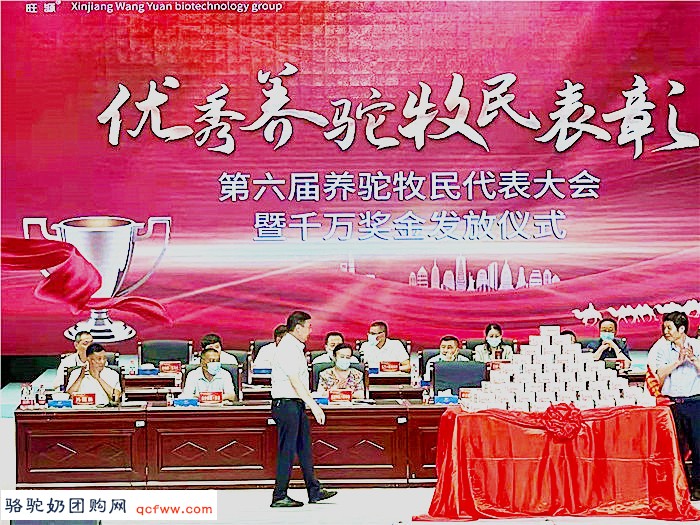 山东51台报道：陈钢粮：中国驼奶界的传奇