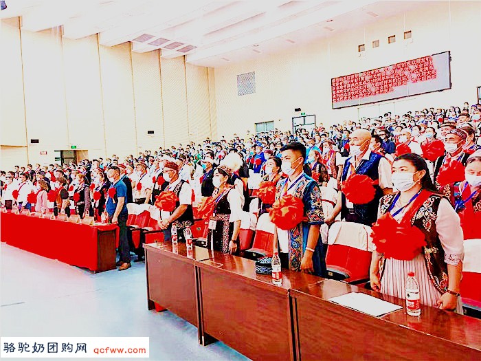 山东51台报道：陈钢粮：中国驼奶界的传奇