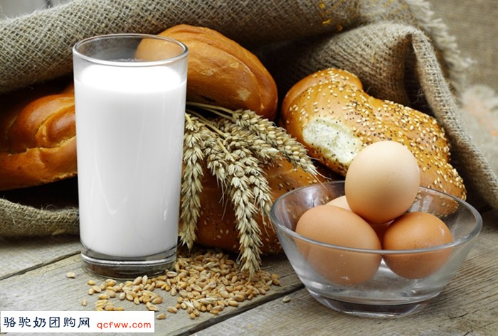 旺源减脂高蛋白纯驼乳粉适合哪类人群?