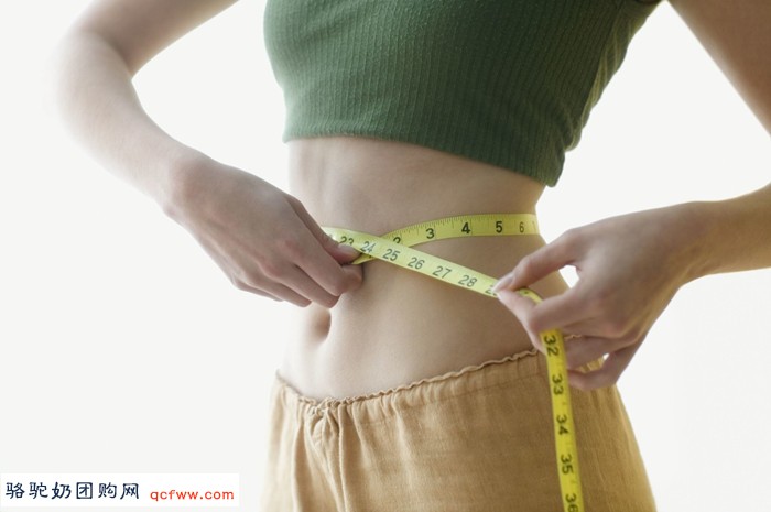 旺源减脂高蛋白纯驼乳粉适合哪类人群?