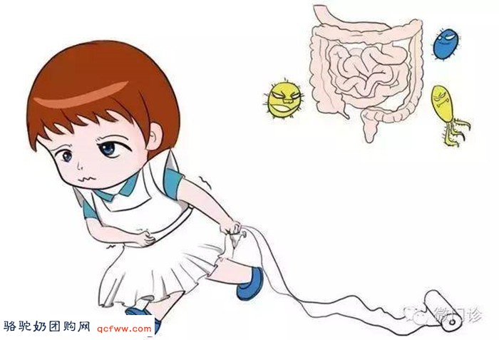 旺源减脂高蛋白纯驼乳粉适合哪类人群?