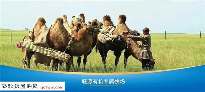 世界糖尿病日旺源利糖N多优惠惠及糖人，您准备好了吗？