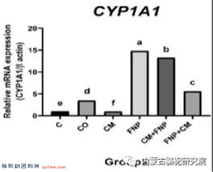 骆驼奶对甲型苯丙酸菊酯（FNP）诱导的雄性大鼠肝CYP1A1基因表达和DNA损伤的延缓作用