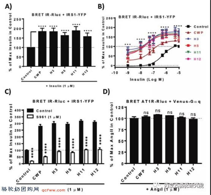 驼乳中生物活性肽DPP-IV和胰岛素受体抗活性 关于糖尿病特性的分析