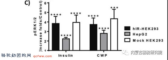 驼乳中生物活性肽DPP-IV和胰岛素受体抗活性 关于糖尿病特性的分析
