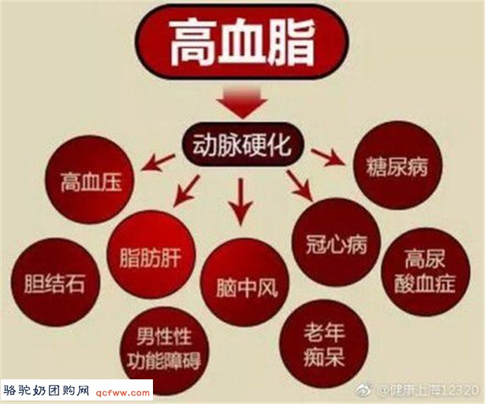 骆驼乳清蛋白和瑞舒伐他汀对小鼠诱导的血脂异常的改善作用