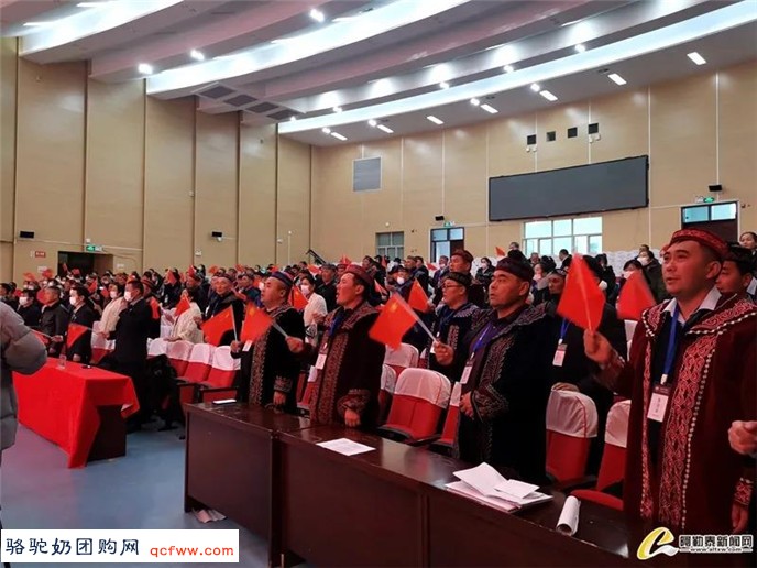 养驼牧民捐赠126万,同企业共谋产业发展-阿勒泰新闻网报道