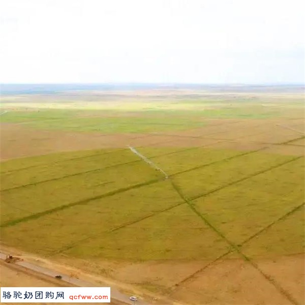 旺源集团丨旺源驼奶——荣获美国USDA有机认证!