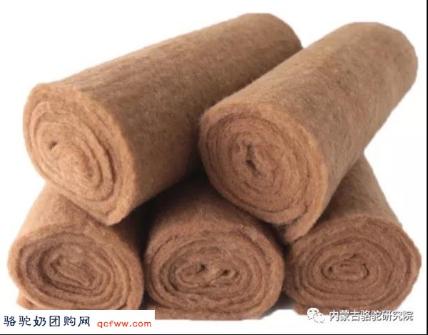 驼绒 —— 面料中的“软黄金”，能防御风湿性关节炎、类风湿、腰腿痛等顽疾。