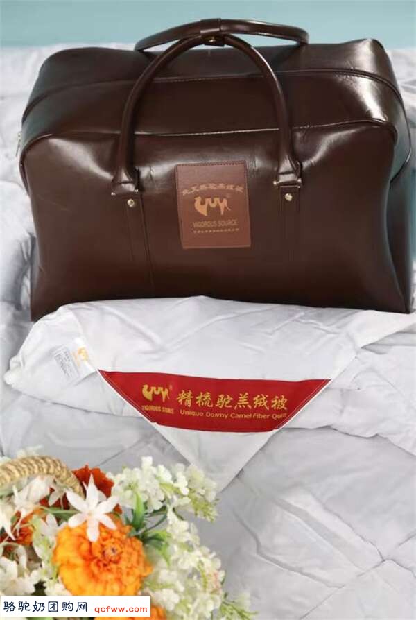 驼绒 —— 面料中的“软黄金”，能防御风湿性关节炎、类风湿、腰腿痛等顽疾。