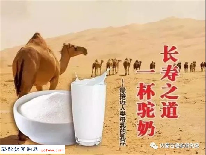 内蒙古骆驼研究院：超高压处理对驼乳的影响