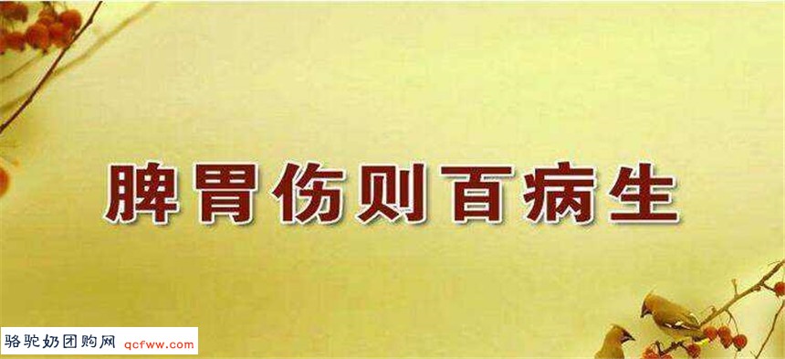 为什么脾胃不好的人更应补充益生菌?